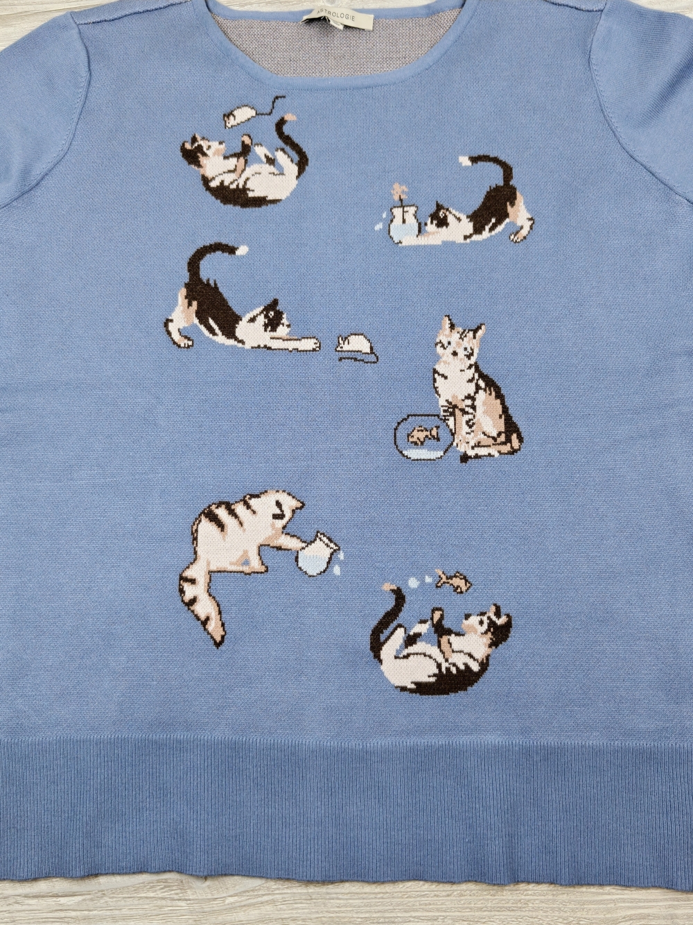 Astrologie women's Pullover Sweater Blue Cat Print XL; Animal; kitten soft comfy